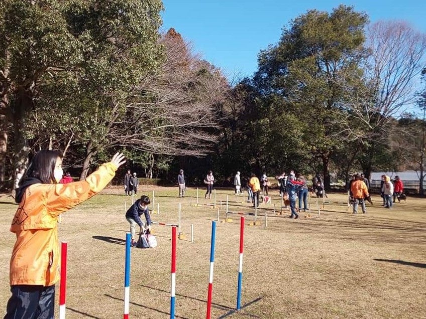 ドッグスポーツ「アジリティ」も体験できる