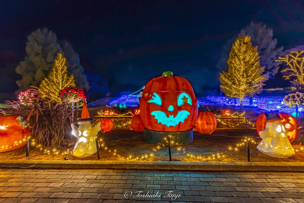 ※撮影：丹地敏明（2021年）