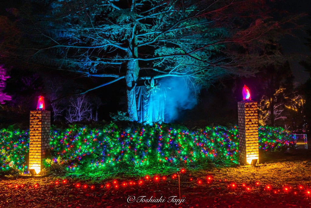 ※撮影：丹地敏明（2021年）