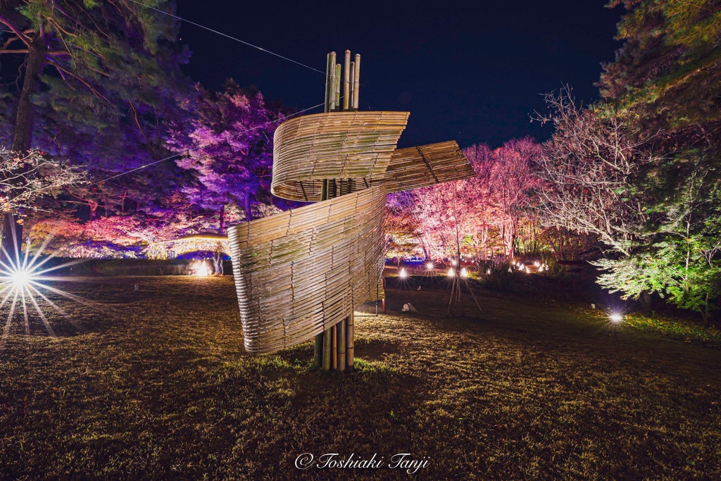 ※撮影：丹地敏明（2020年）