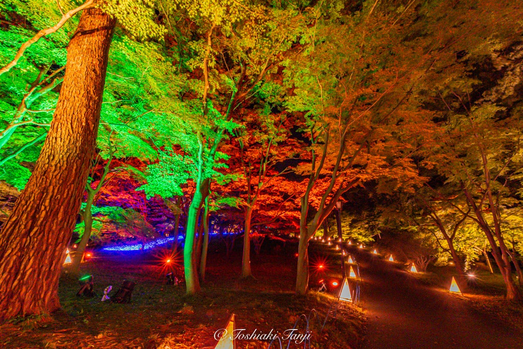 ※撮影：丹地敏明（2021年）