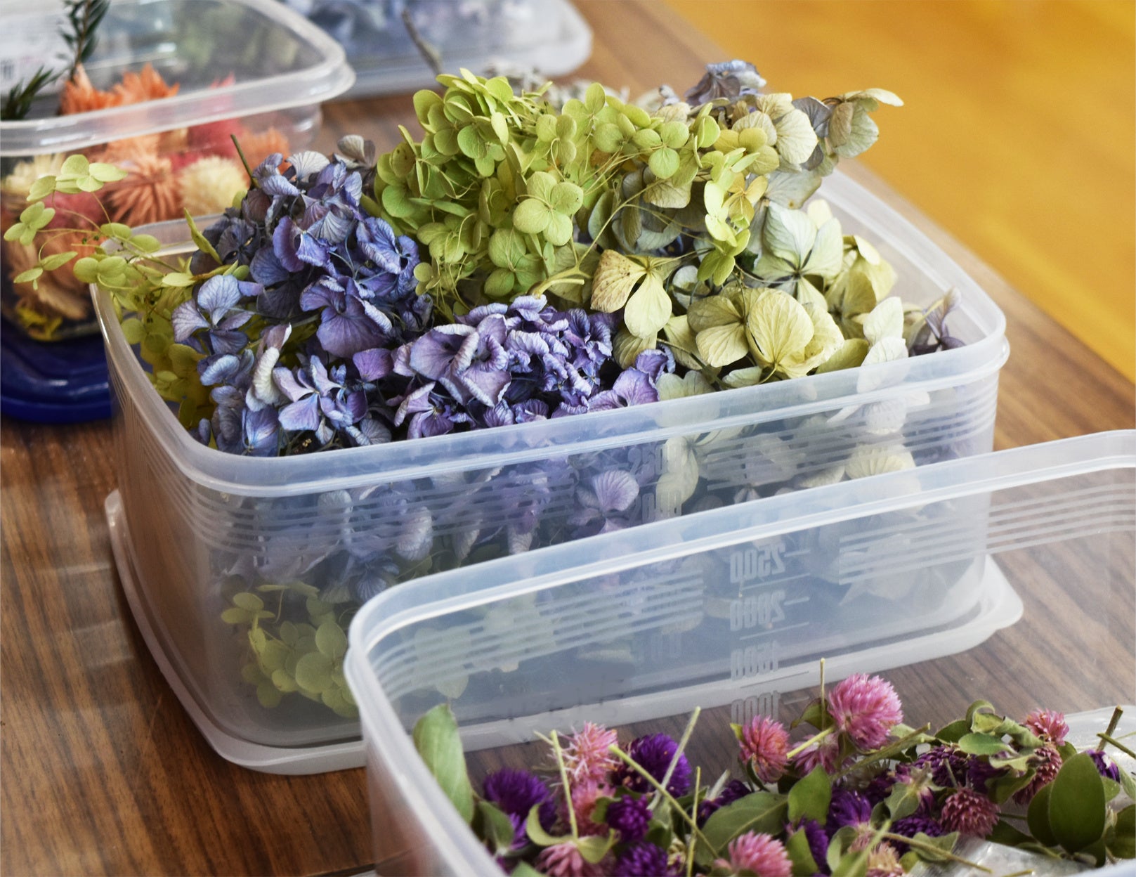 植物の維持管理で、通常は剪定後に廃棄される花（ロスフラワー）等を再利用