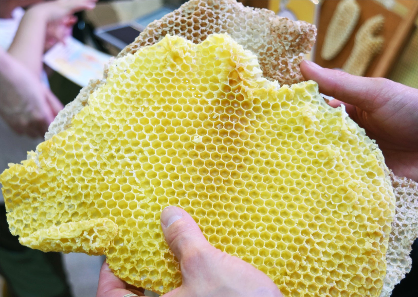 みつろう（蜜蝋）