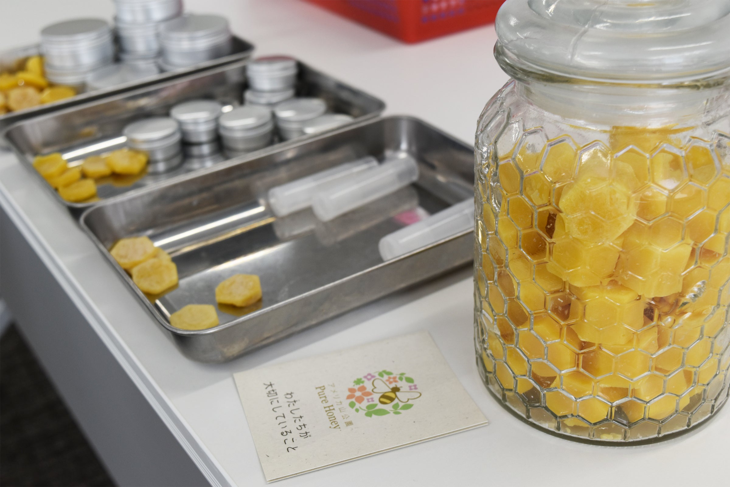 横浜市の公園でみつばちの飼育時に発生した天然素材の“みつろう（蜜蝋）”を使ったワークショップ