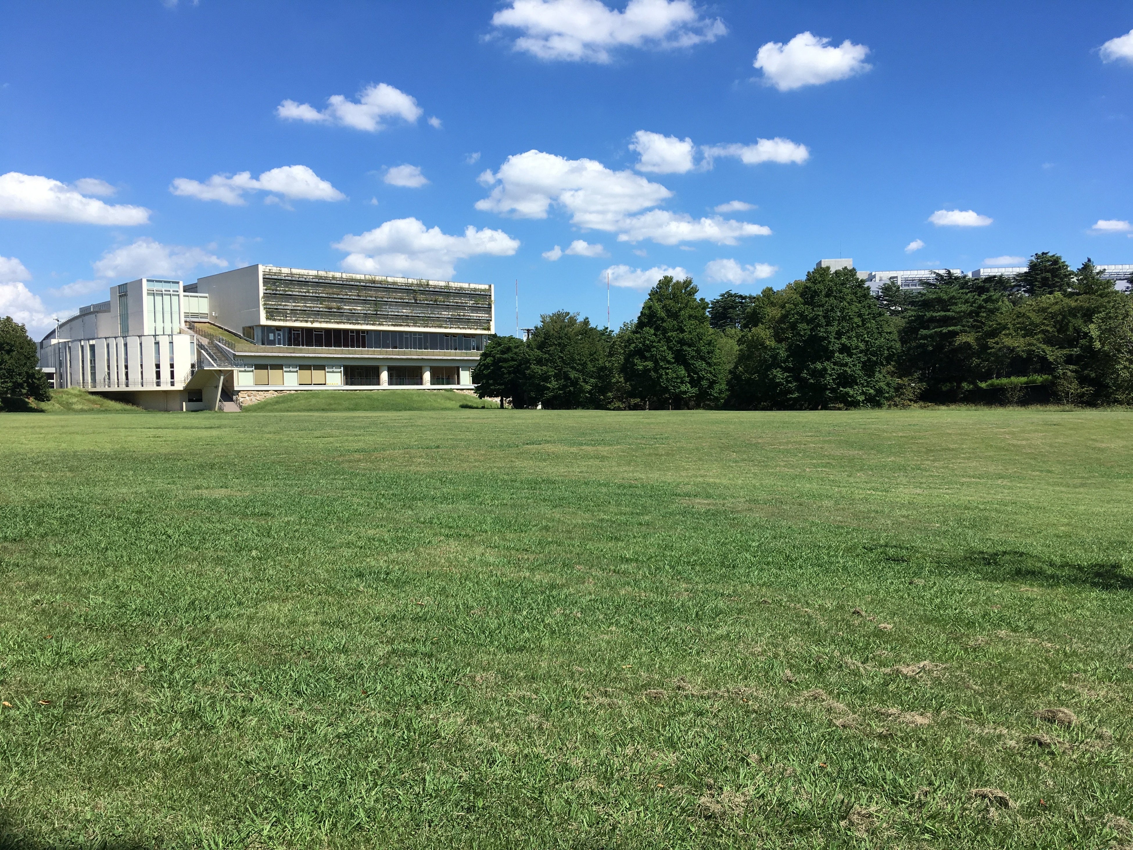 埼玉県営和光樹林公園（芝生広場）