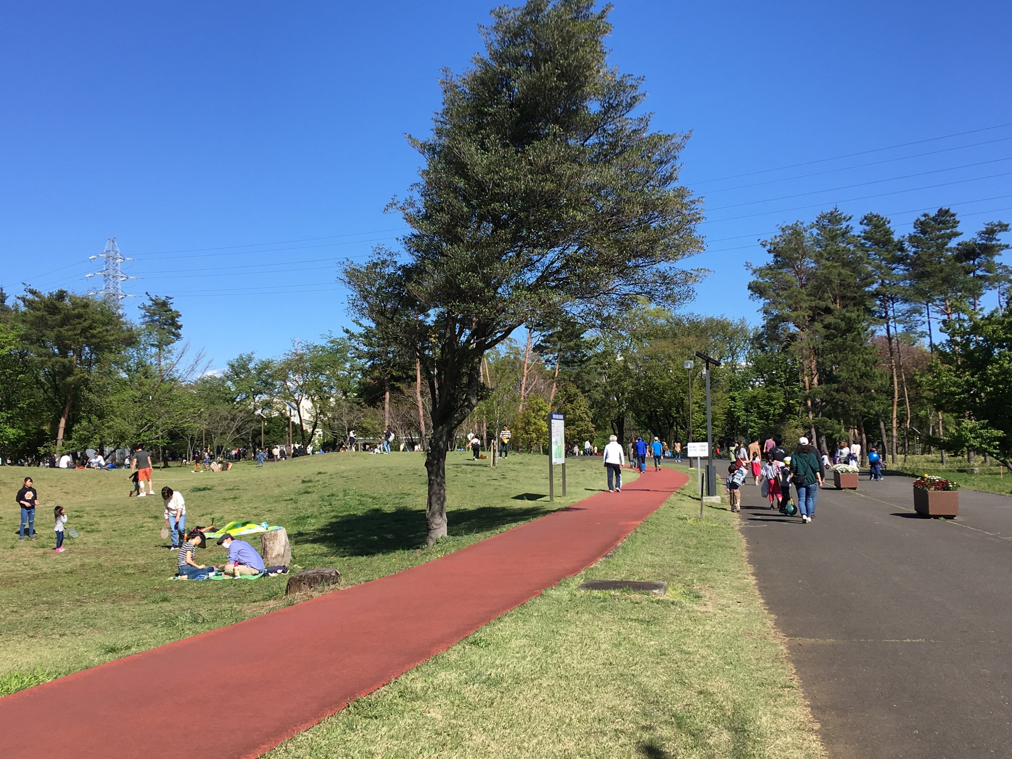 ジョギングコース