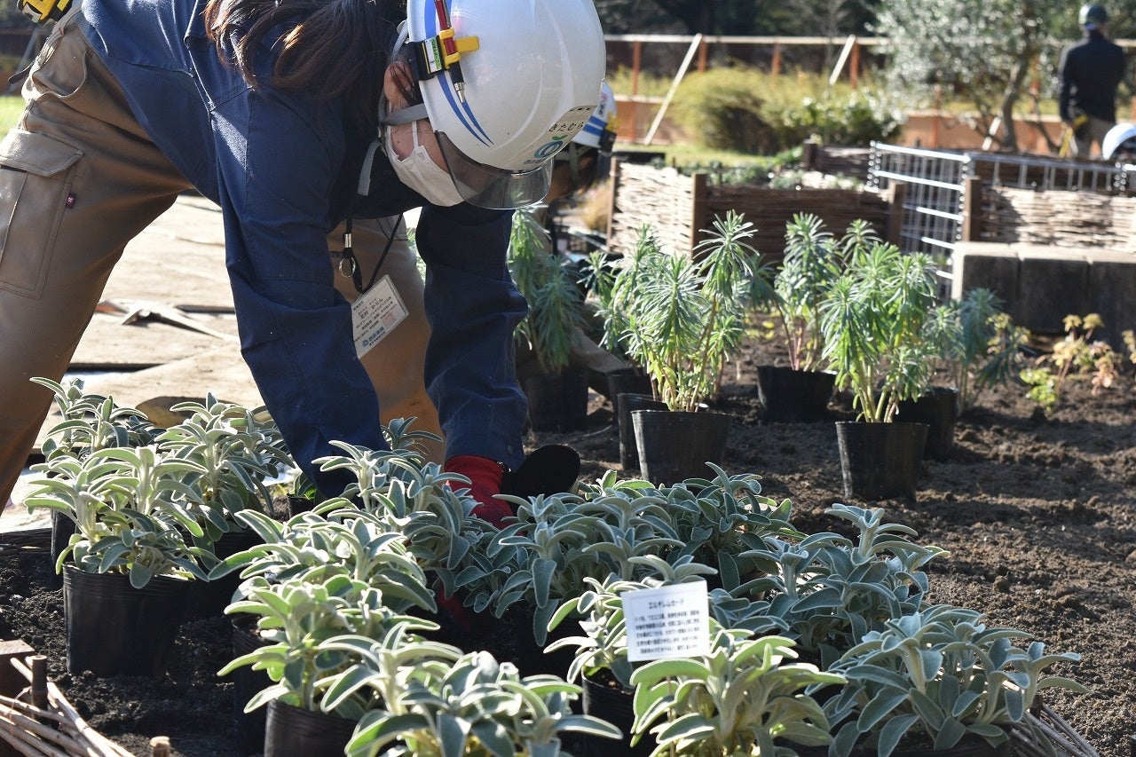 ガーデン施工の様子（2022年12月）