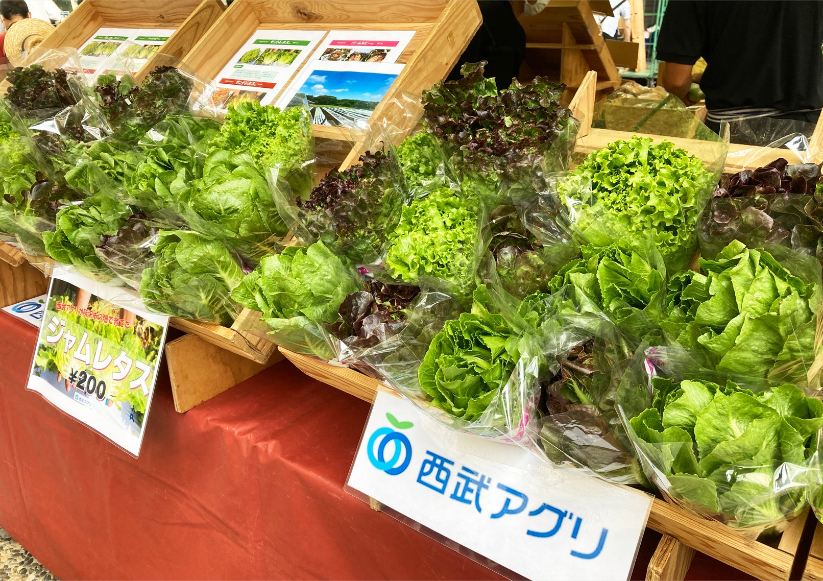 埼玉県内の農園で育てた「ジャムレタス」を販売！