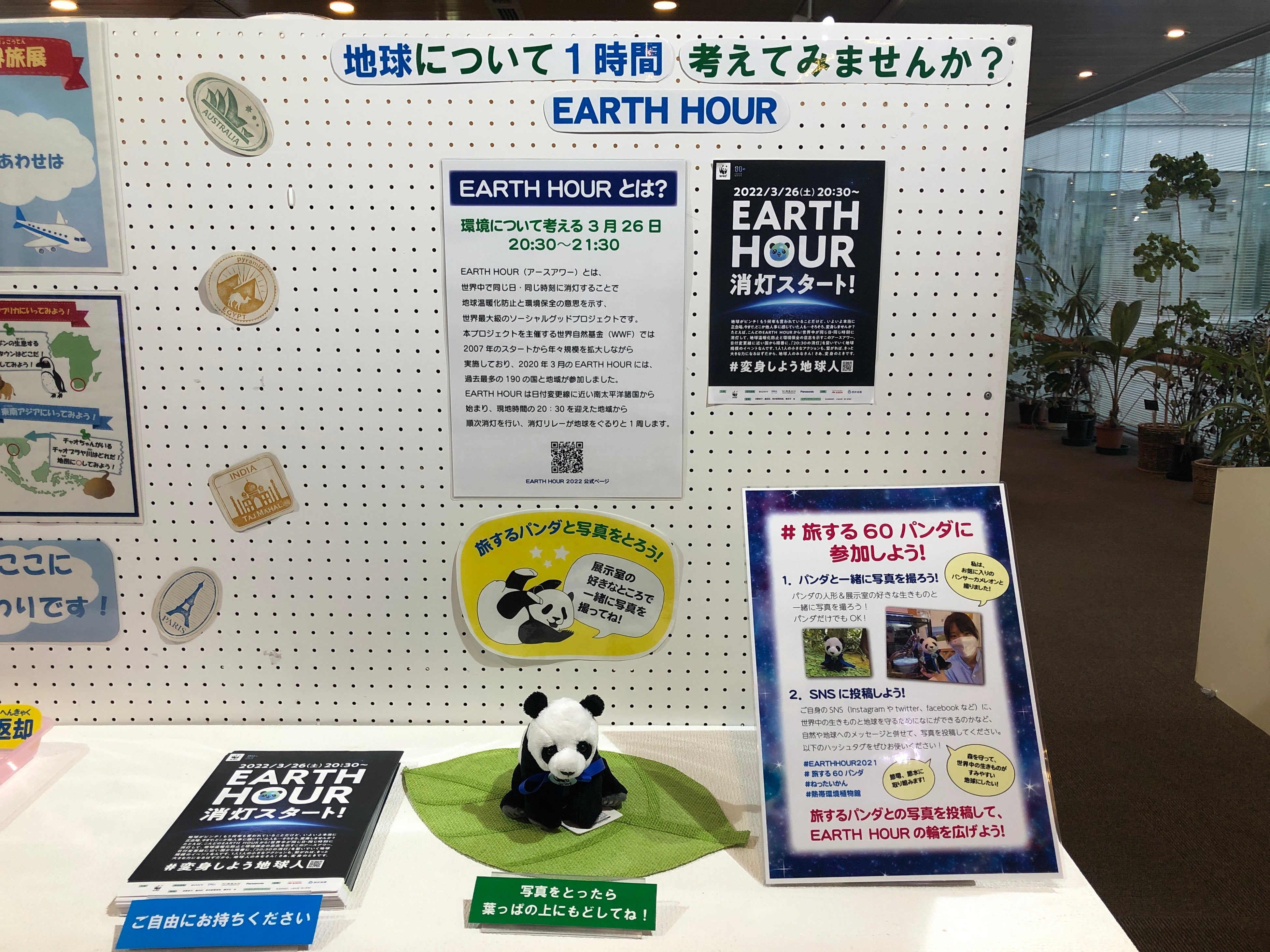 「板橋区立熱帯環境植物館」での展示の様子(2022）