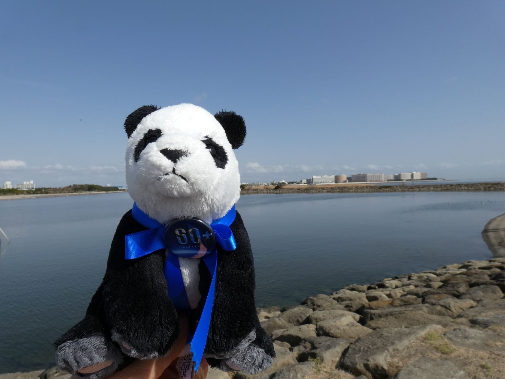 東京都初のラムサール条約湿地に登録された「都立葛西海浜公園」