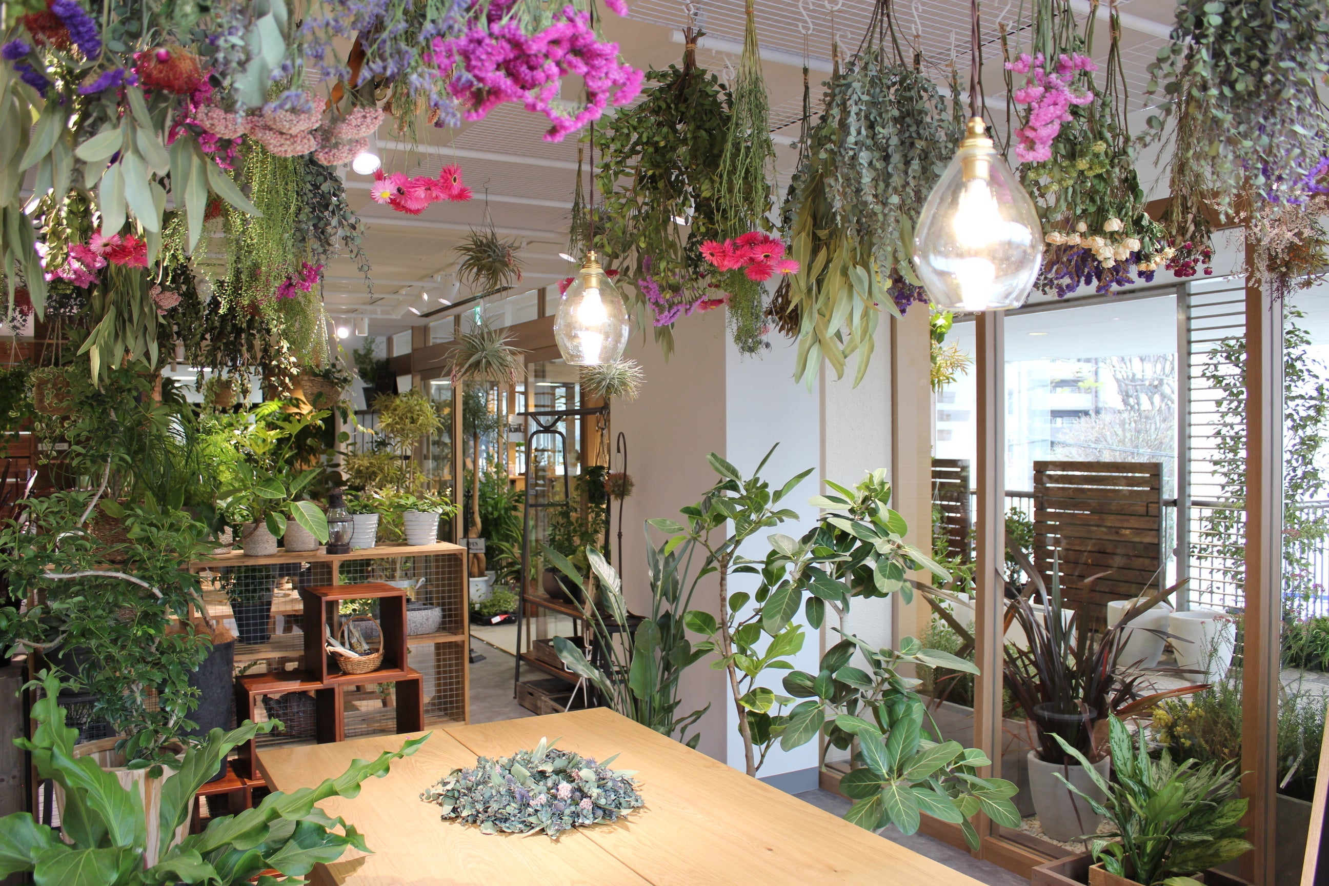 hale-hana plants＋（ハレハナ プランツプラス）店舗