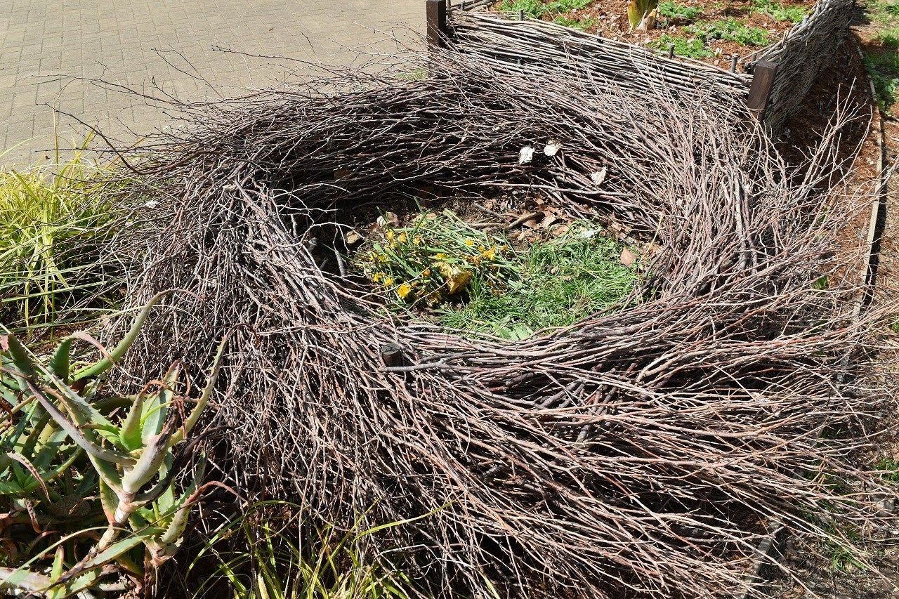 大きな鳥の巣のようなバイオネストの中に落ち葉等を入れ、堆肥化しています