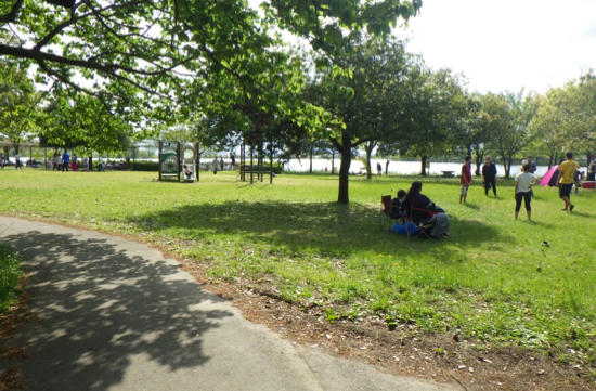 湖東湖北　曽根沼