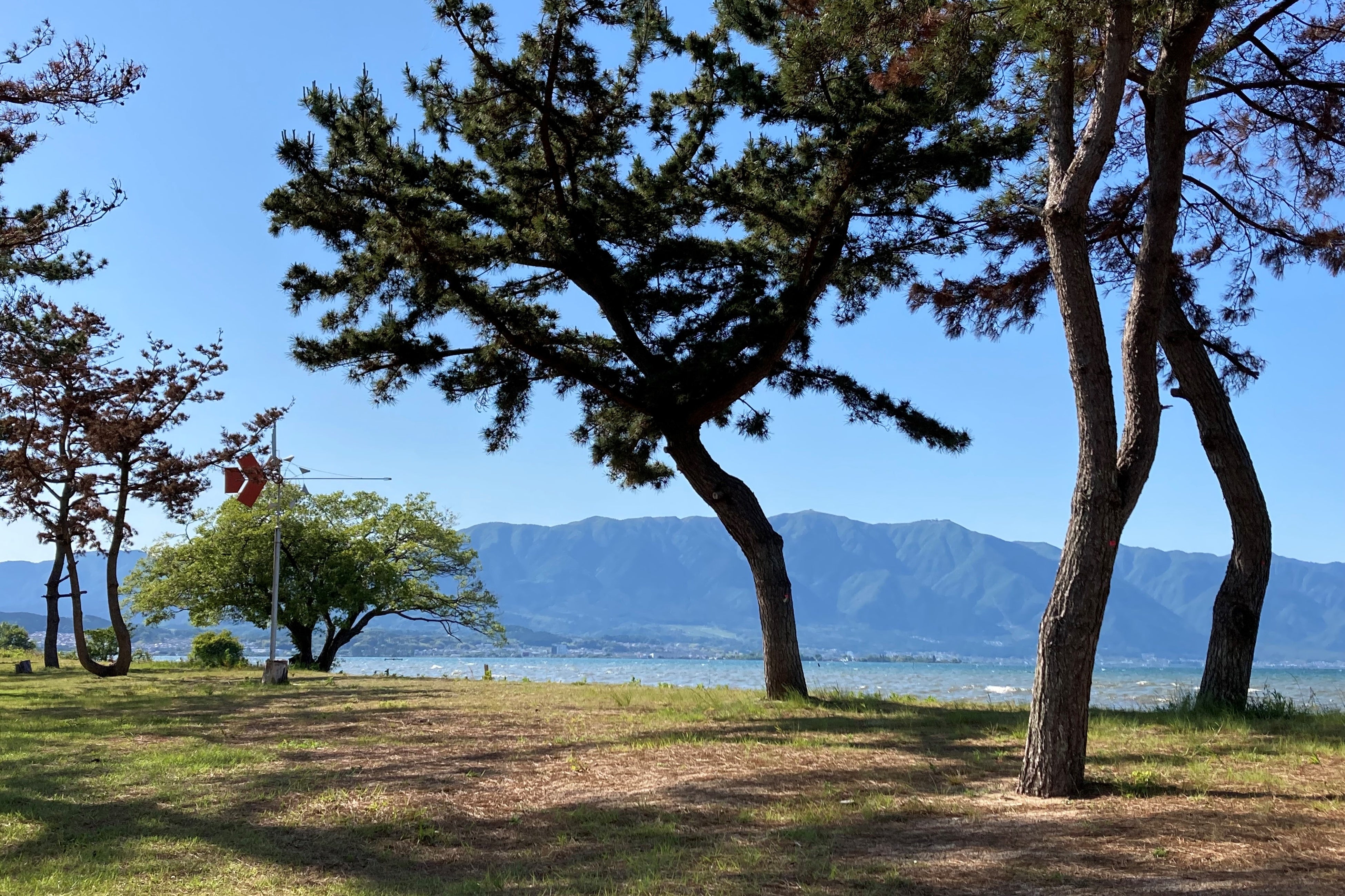 南湖東岸　野洲川河口（通称：第2なぎさ公園）