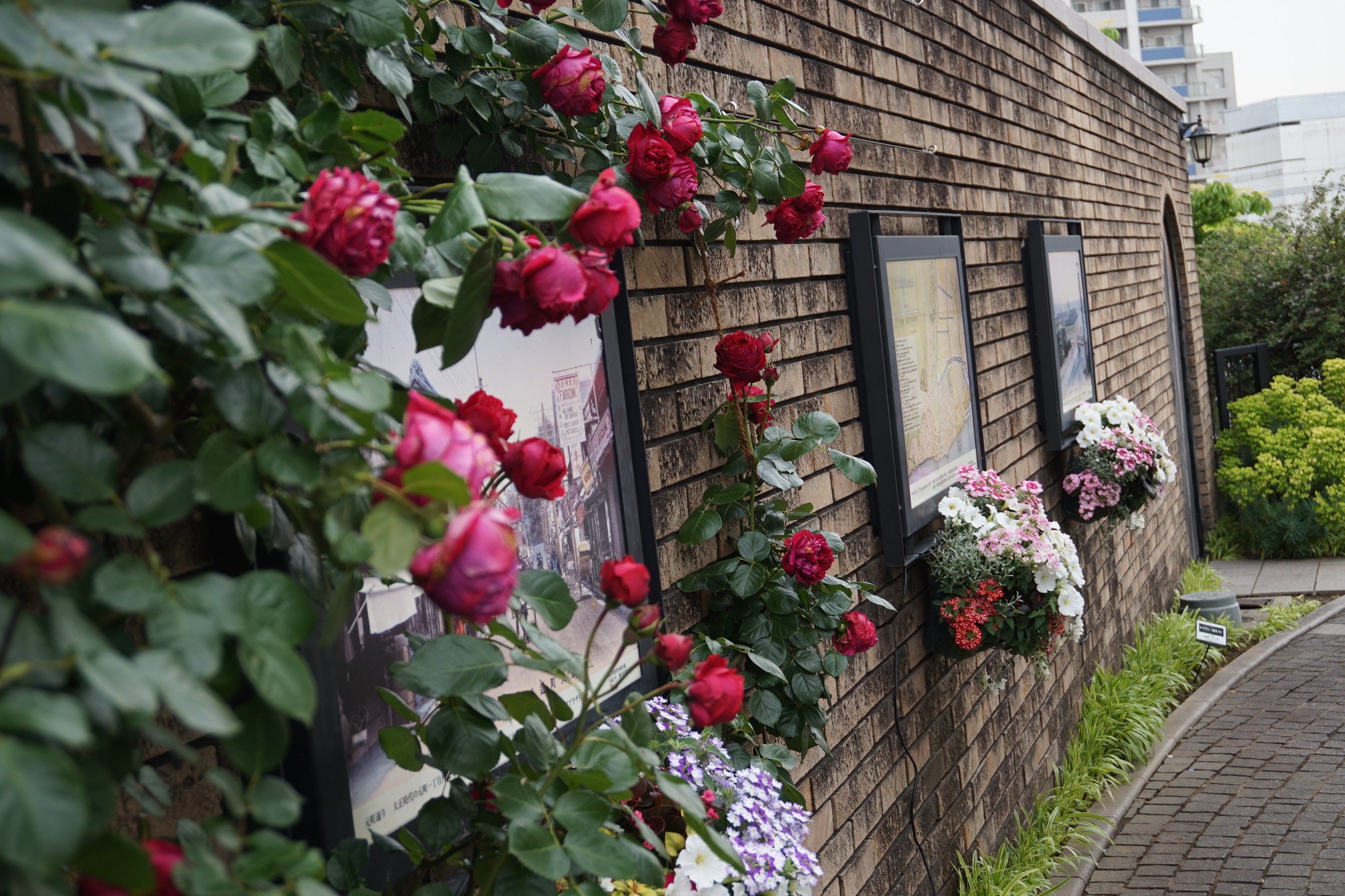 横浜市アメリカ山公園では、園内で横浜・山手の歴史を伝える取り組みを行っています