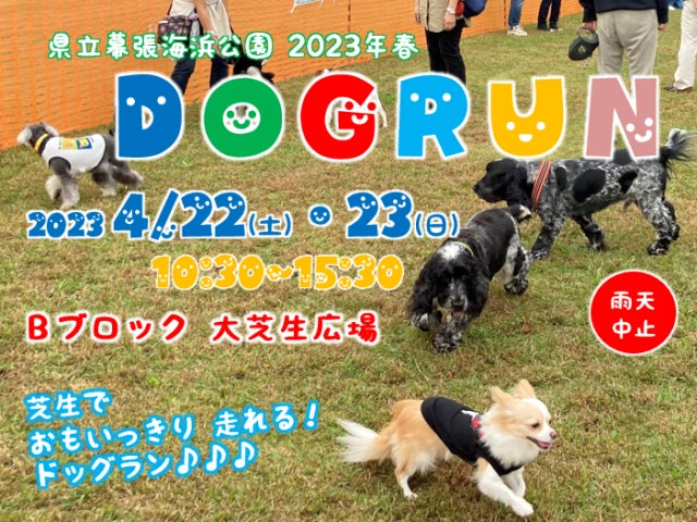 二日間限定で、天然芝の特設ドッグランがお楽しみいただけます(※事前予約制)