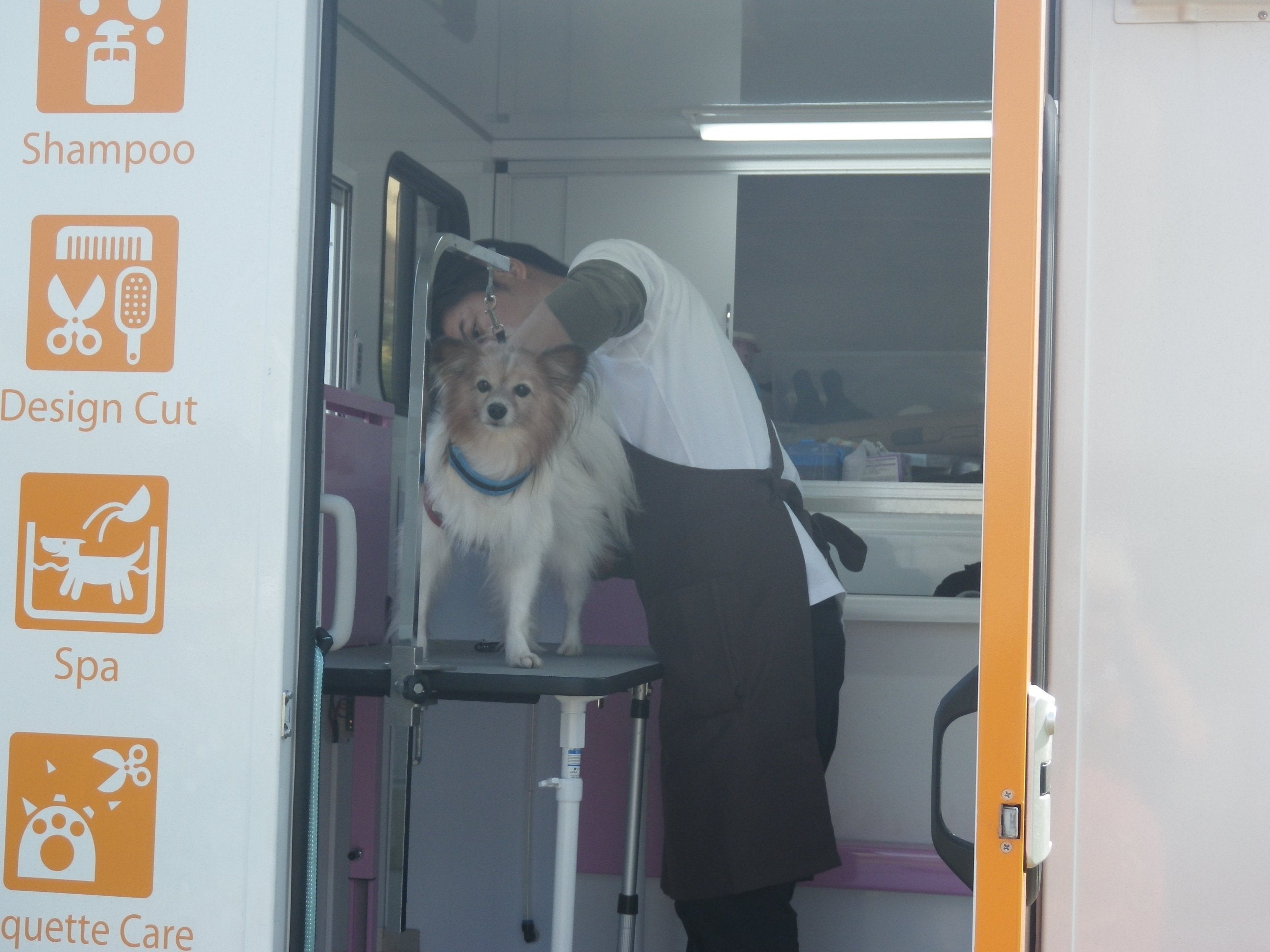 経験豊富なトリマーによる出張「ペットケアサービス」