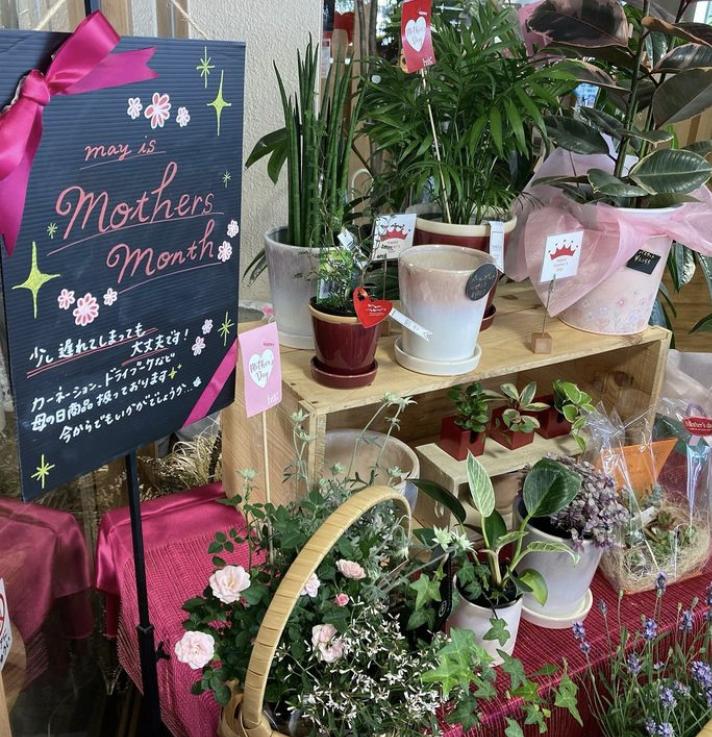 おしゃれなアレンジや観葉植物もおススメです