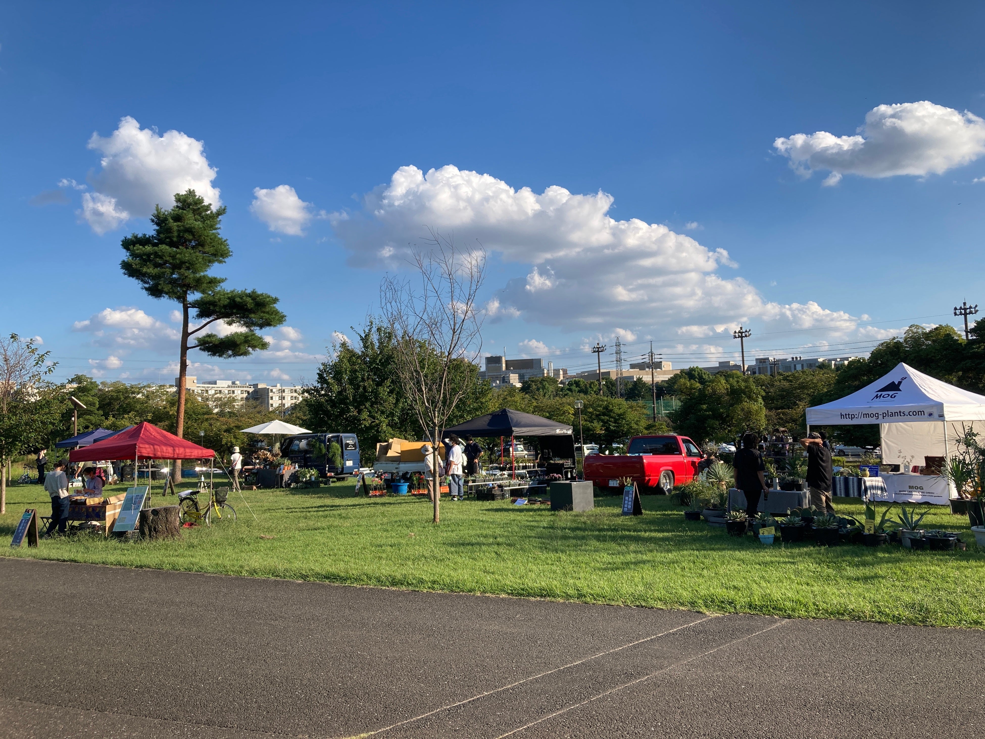 南駐車場そばでアクセス良好。豊かな公園の自然の中で、お気に入りの一鉢を探してください（2022年開催の様子）