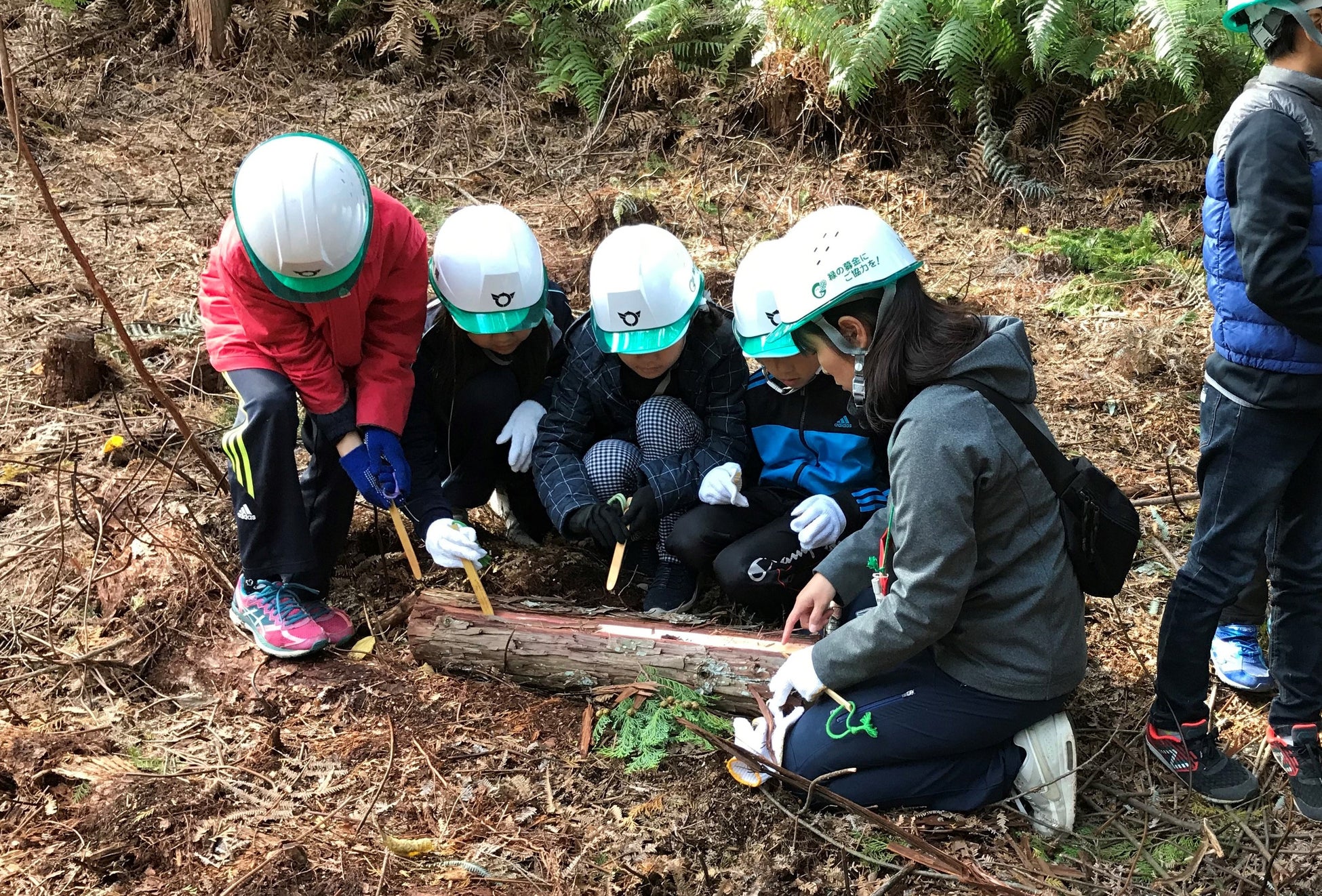 未来の地球に引き継ぐための行動につなげることを目指す「近江富士ネイチャースクール」