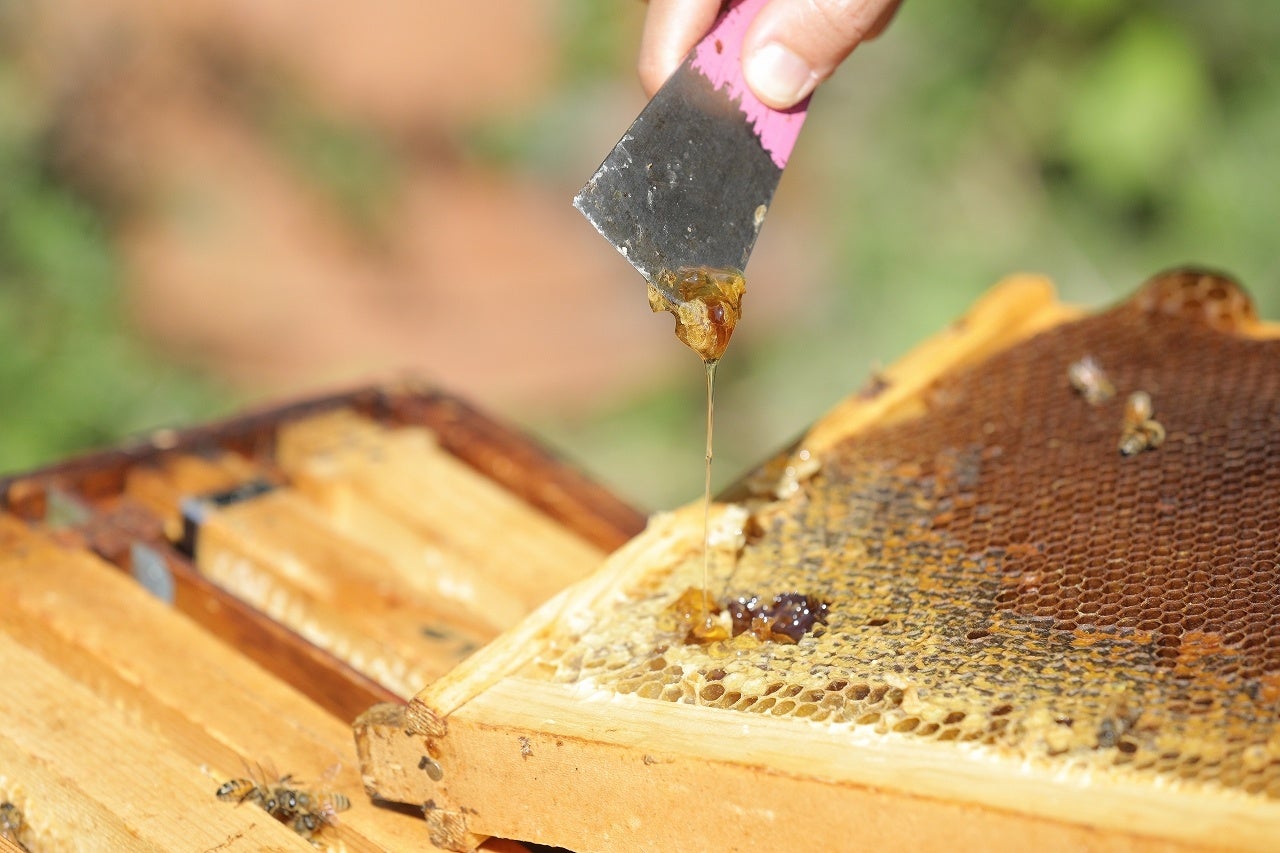 横浜・山手の公園産はちみつを贅沢に使用！