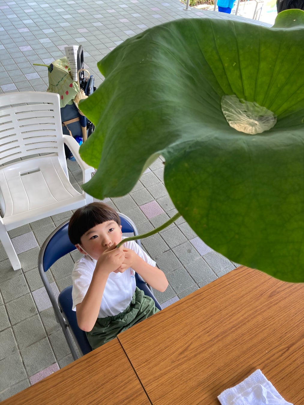 毎年人気の象鼻杯(ぞうびはい)は、7月1日(土)・2日(日)開催