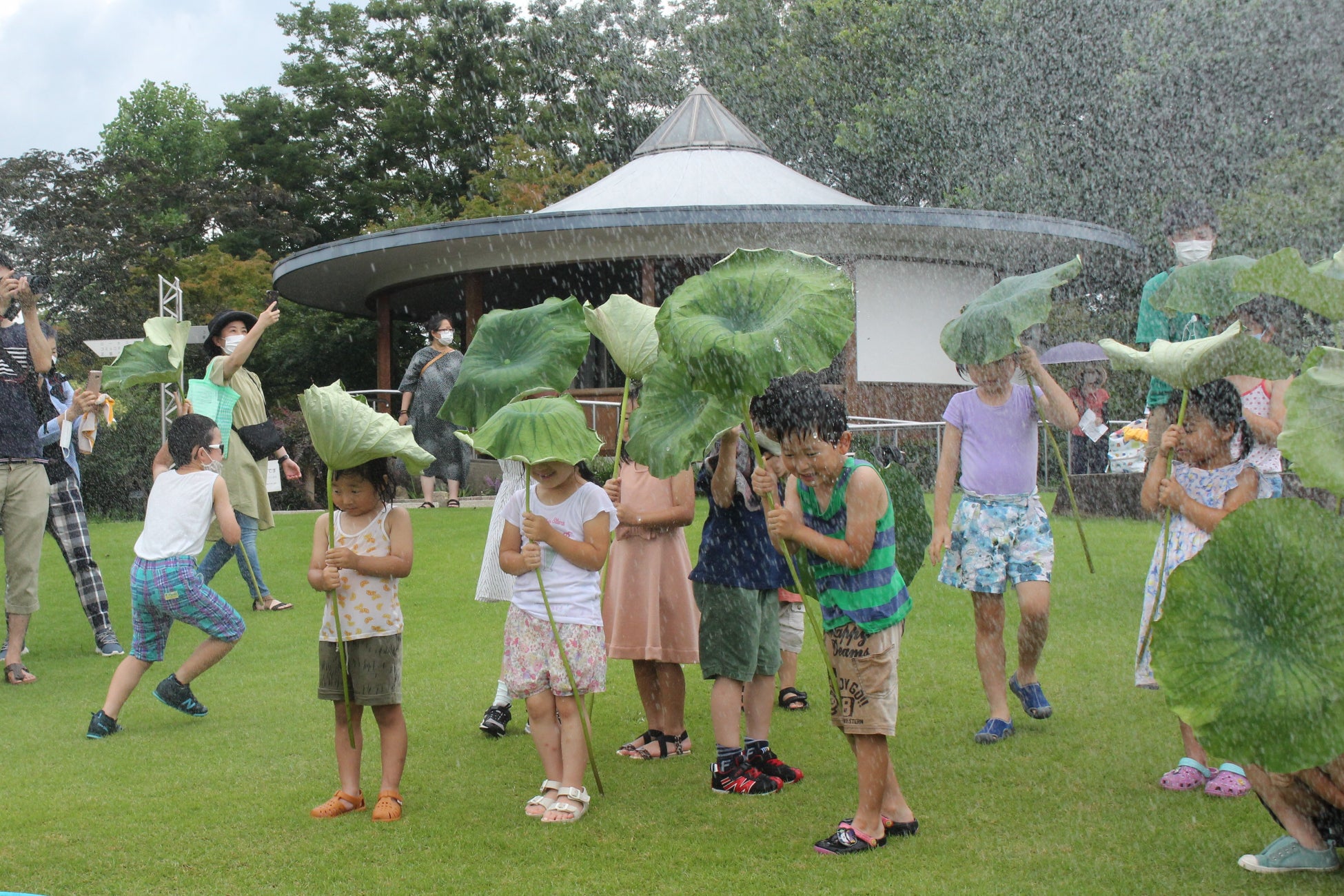 「ハスの傘でスコール体験!」