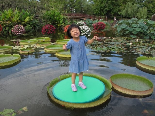 8月5日(土)~27日(日)の各土日祝には「パラグアイオニバスに乗ろう」を開催!