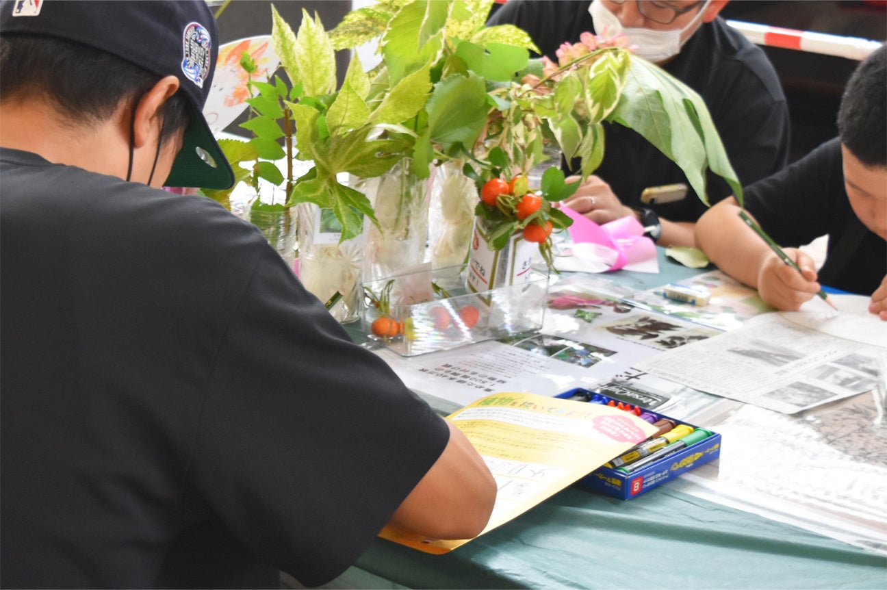 ※「植物を描いてみよう！」イメージ