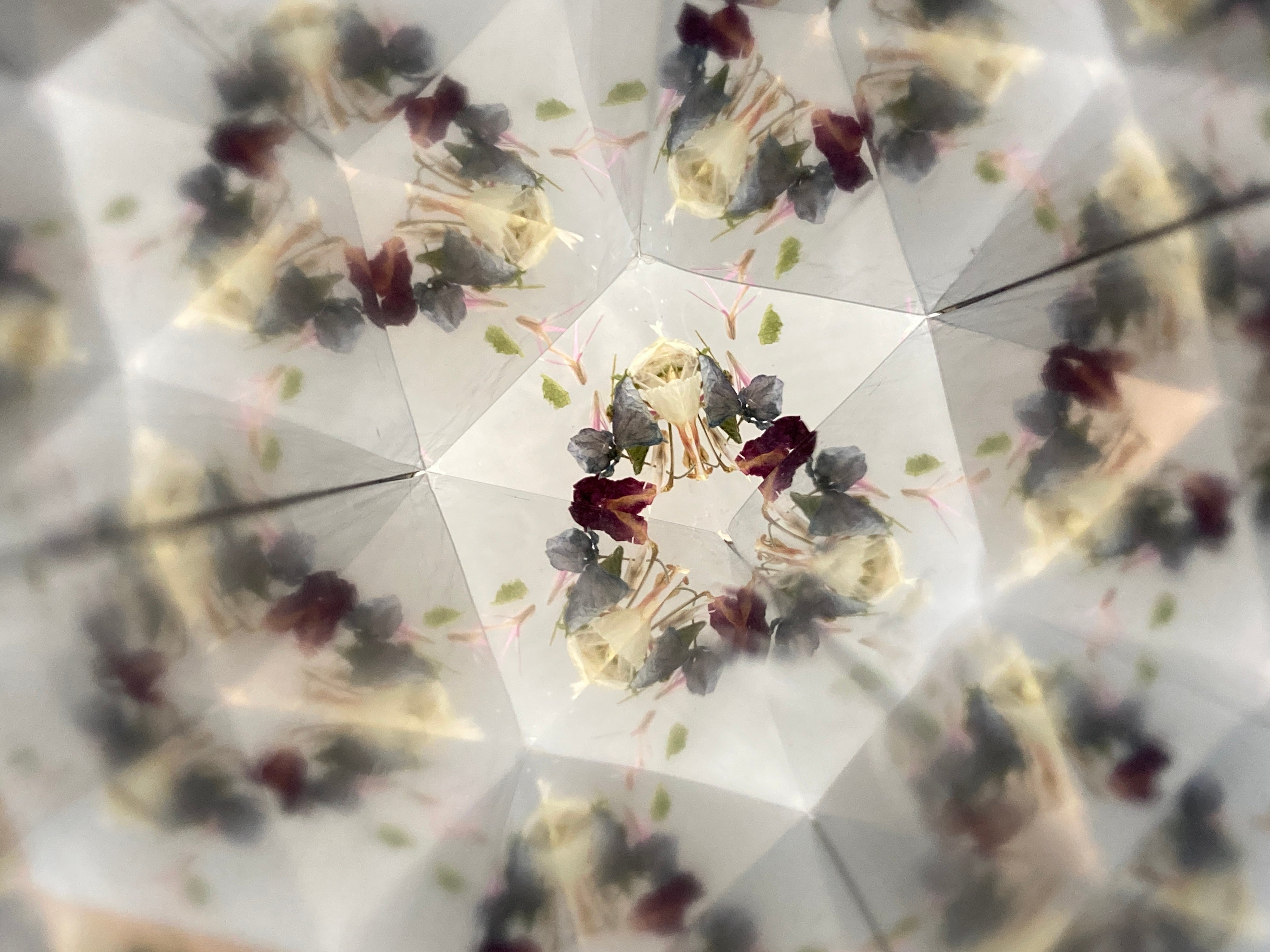 くるくる変わる模様は一期一会。筒の中に不思議な植物の世界が広がります