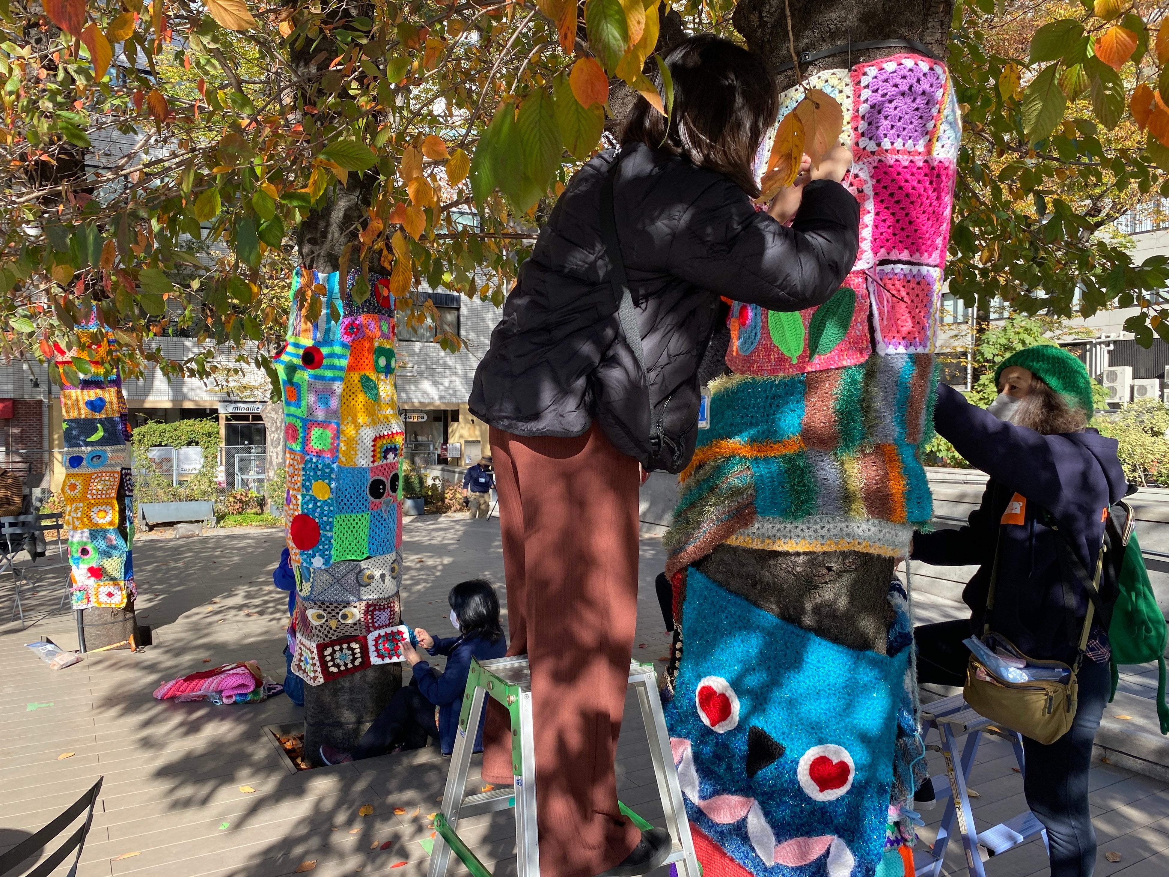 木々を編みくるむ様子