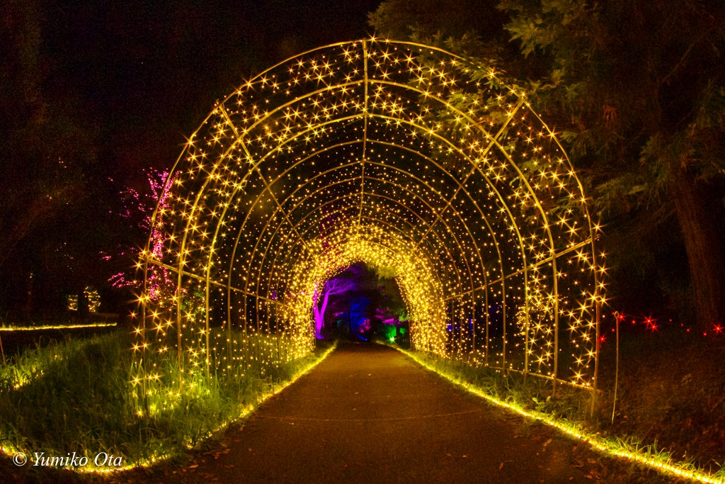 ※撮影：太田有美子（2022年）