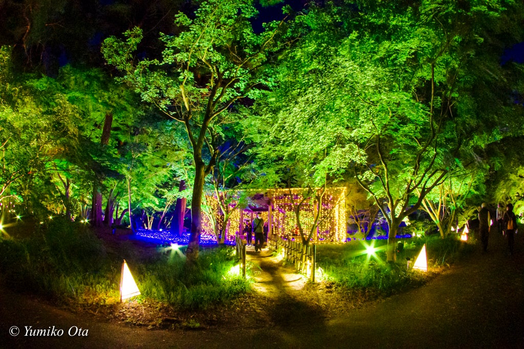 植物園花壇では音楽やセリフに合わせた演出『もみじぃの魔法 de SHOW』が楽しめます　※撮影：太田有美子（2022年）