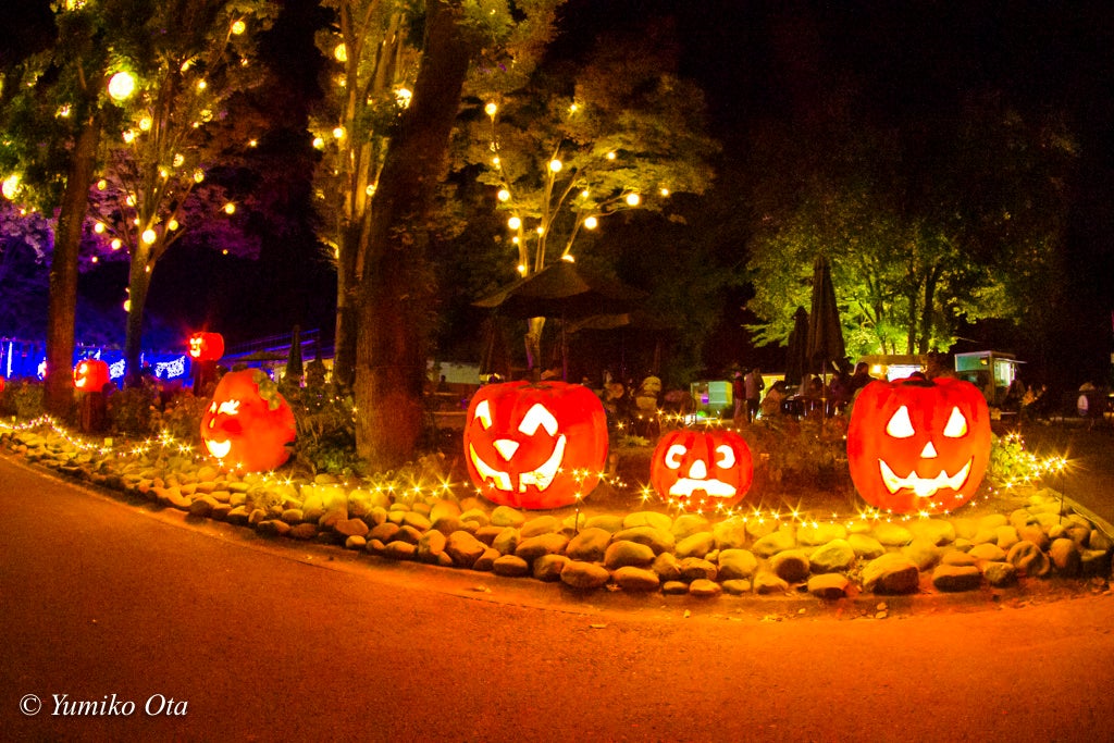 ※撮影：太田有美子（2022年）