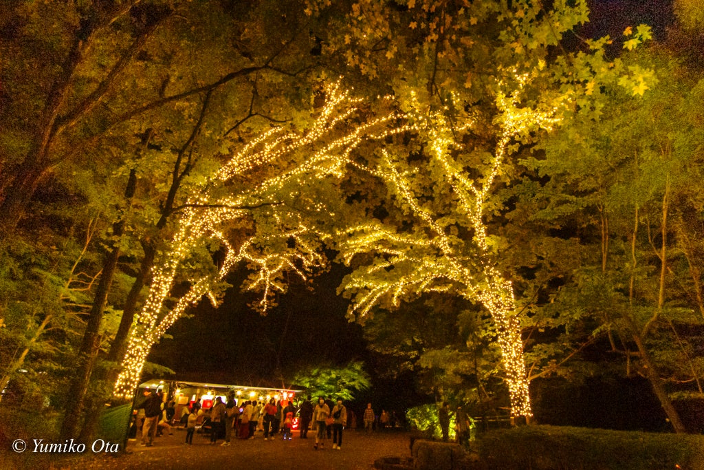 ※撮影：太田有美子（2022年）