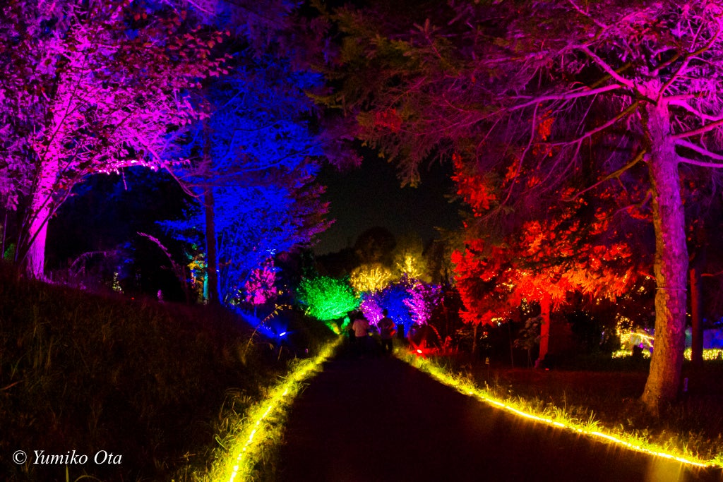 ※撮影：太田有美子（2022年）