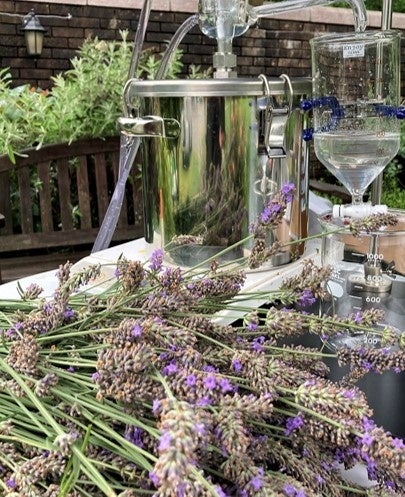 ガーデンマルシェでは、公園で収穫したハーブの蒸留作業もご見学いただけます