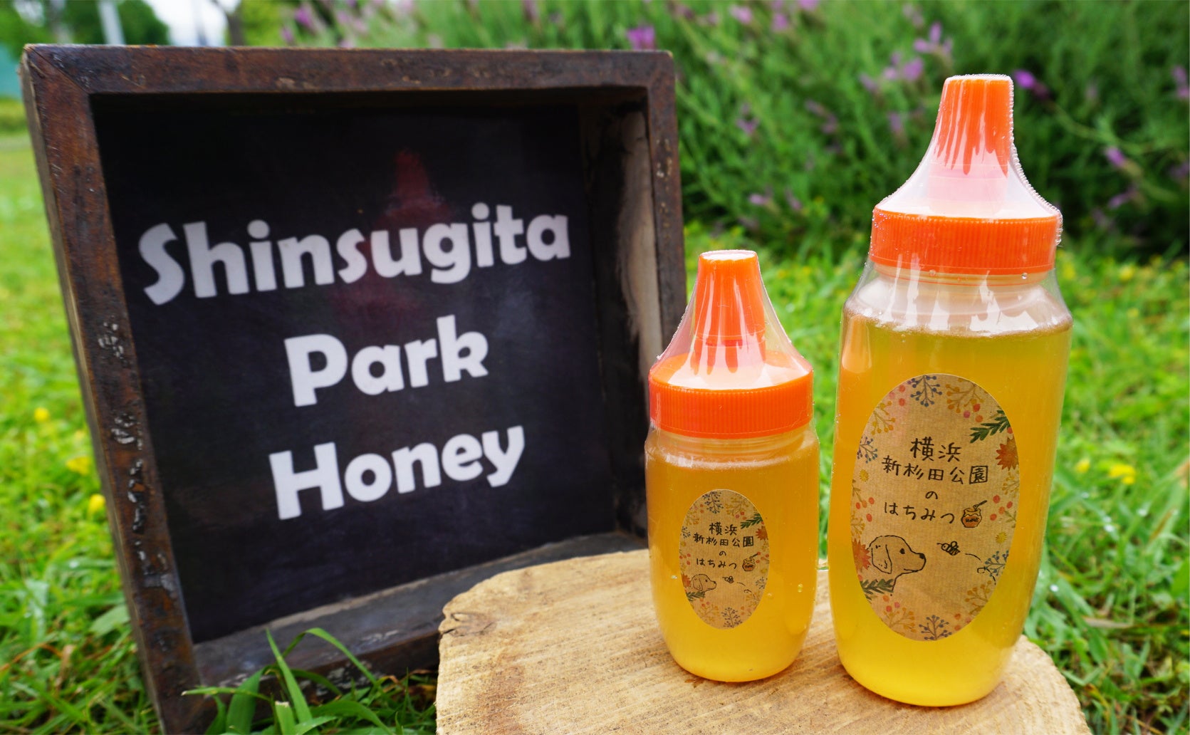 新杉田公園で採れた「はちみつ」