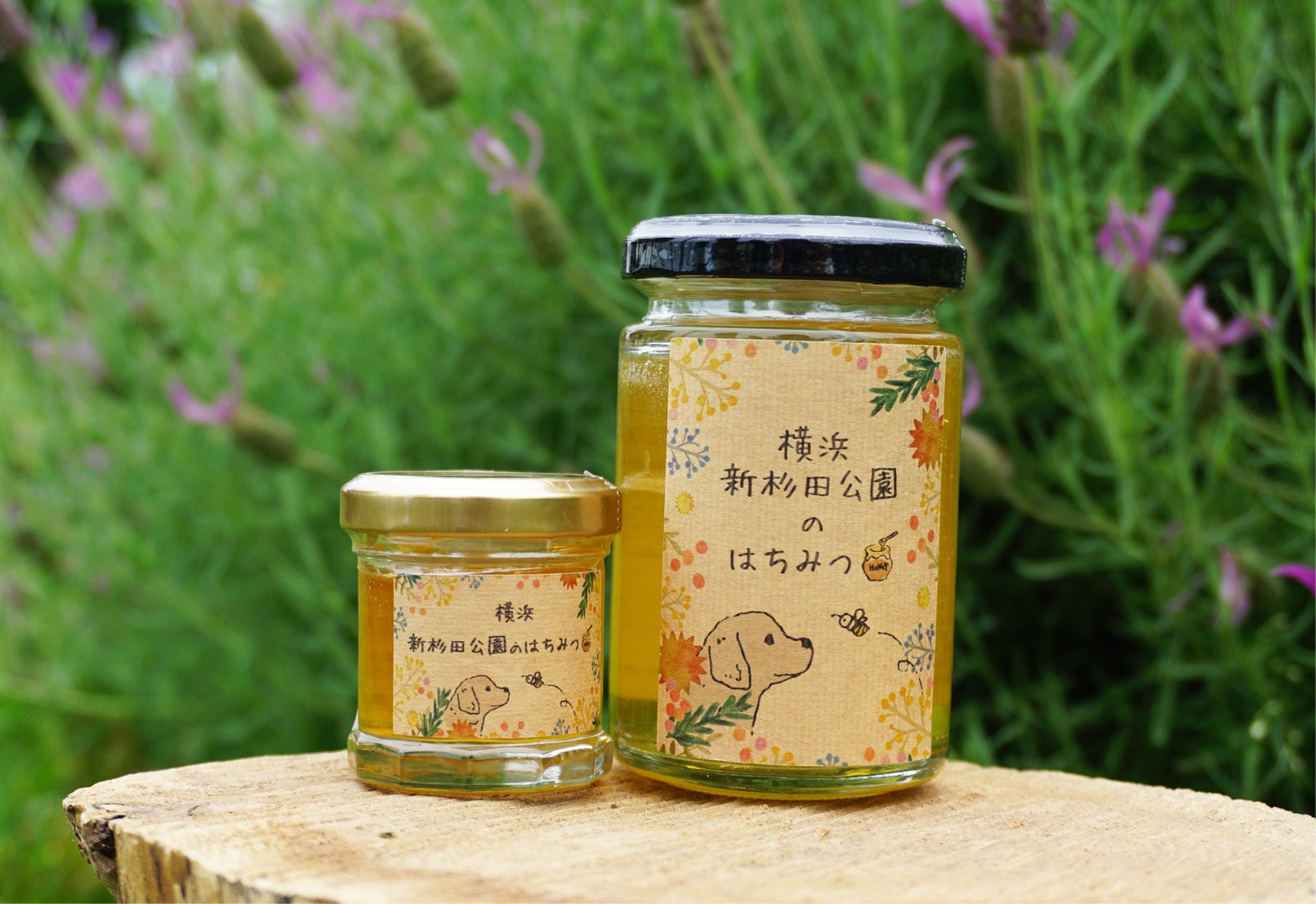 世界100枚限定！ メイプルリーフ 銀貨 カラー ミツバチ 動物と植物の自然融和 horita78_55939