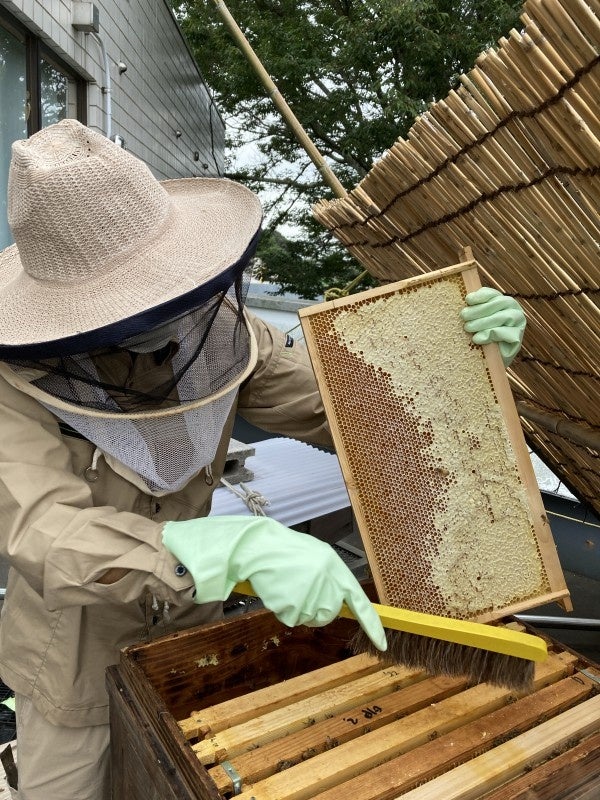 公園産はちみつを使用した限定メニューが登場！