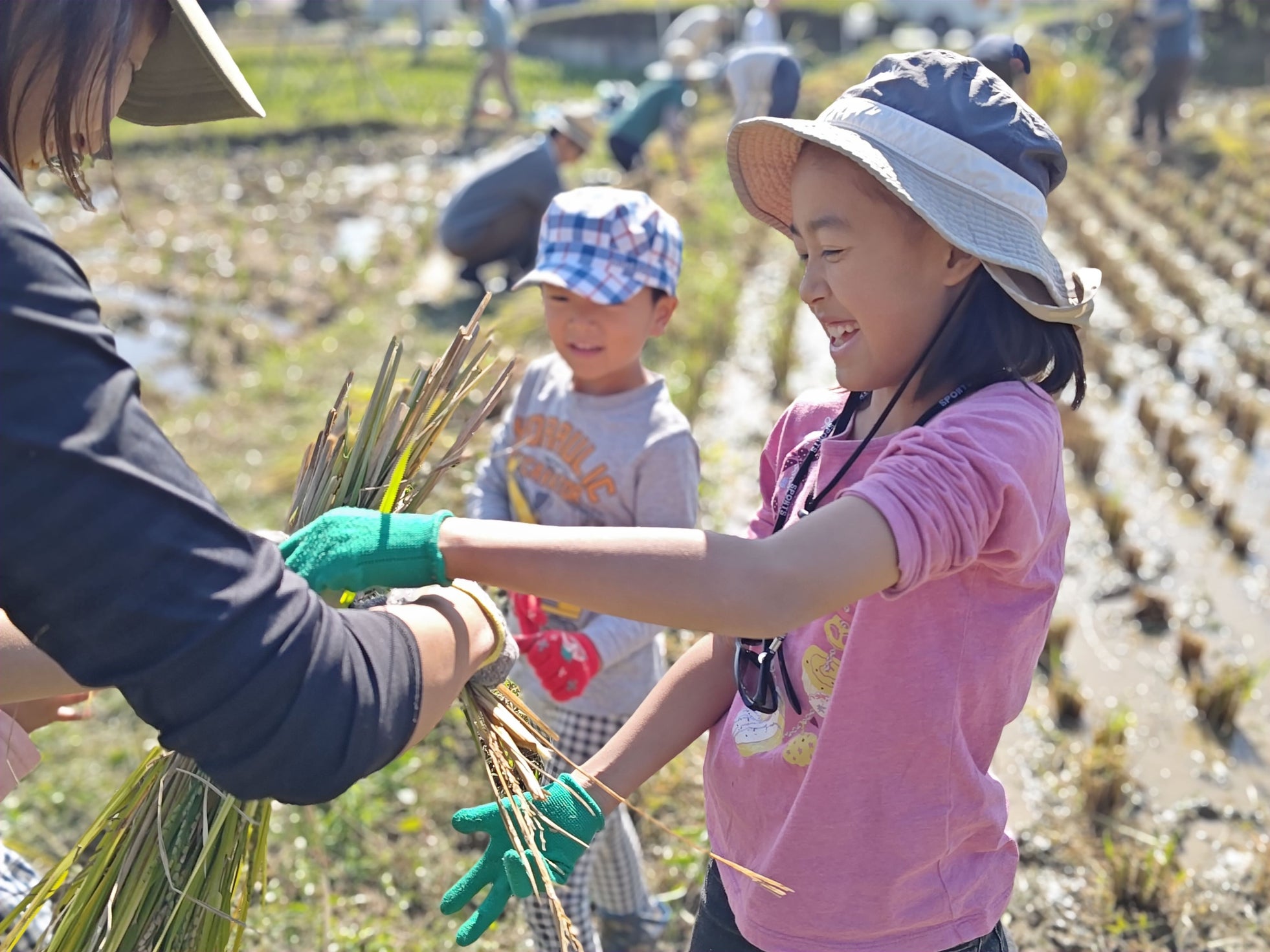 昭和レトロな温泉銭湯 玉川温泉で、ときがわ町の魅力を届ける「古代米収穫の農業体験」と「移住相談会」を実施します