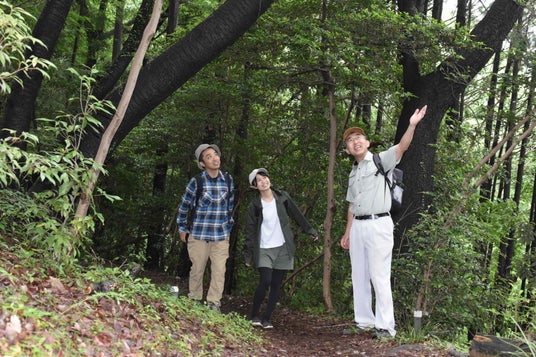 「ハイキングのまち」越生町でお風呂とサウナをお得に楽しめる! オーパークおごせが越生町の「月例ハイキング」と連携した入館割引を開始 「ハイキングのまち」越生町でお風呂とサウナをお得に楽しめる! オーパークおごせが越生町の「月例ハイキング」と連携した入館割引を開始
