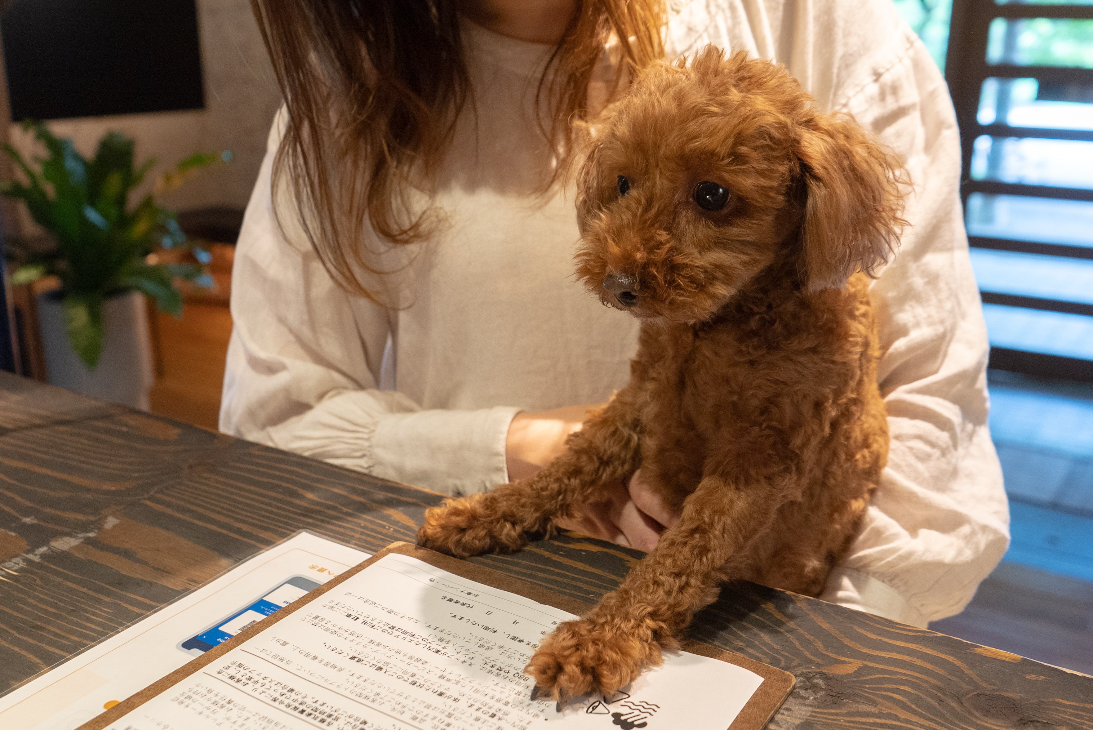 ときたまひみつきちCOMORIVER、わんちゃんが主役のグランピングステイ