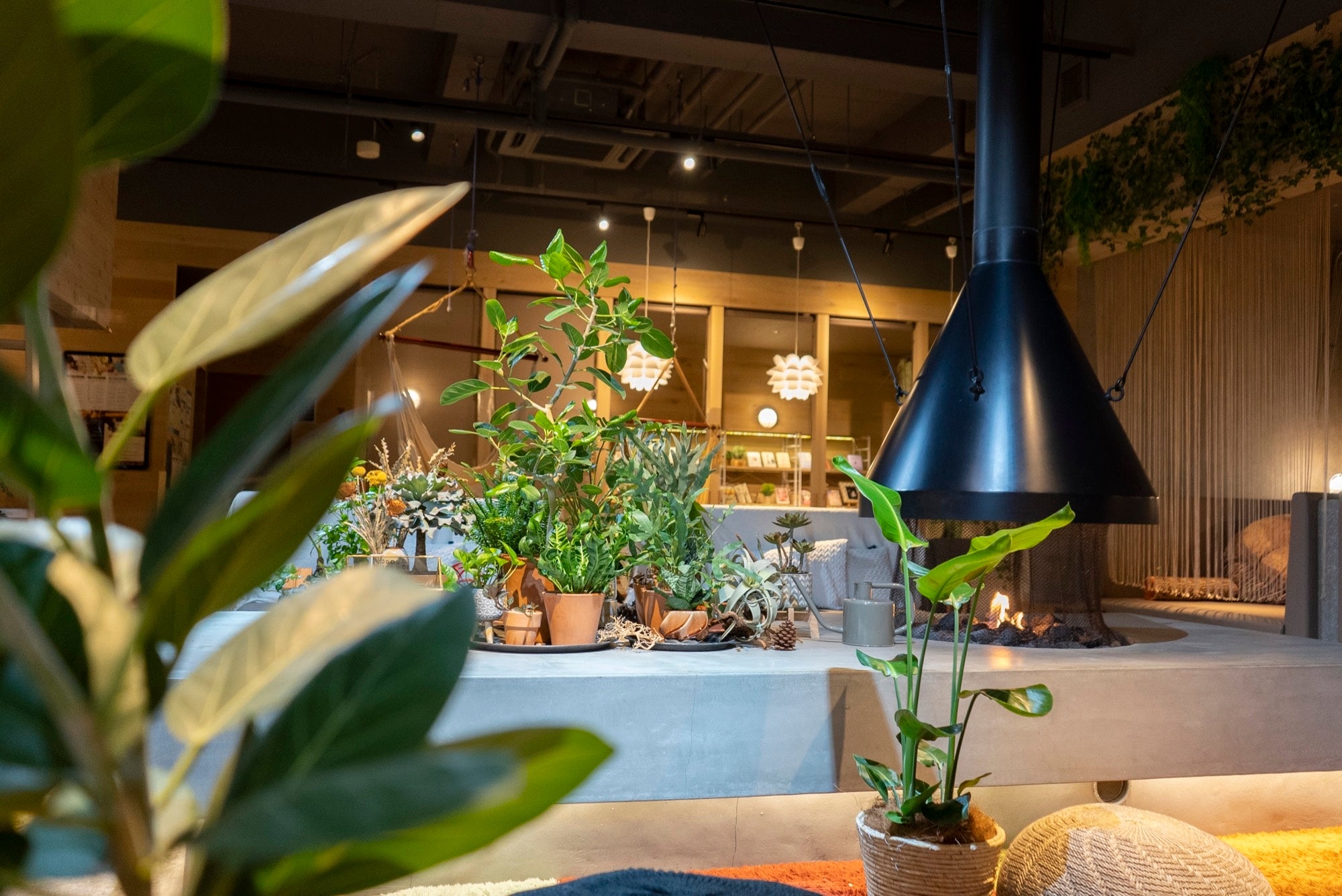 おふろcafe ハレニワの湯