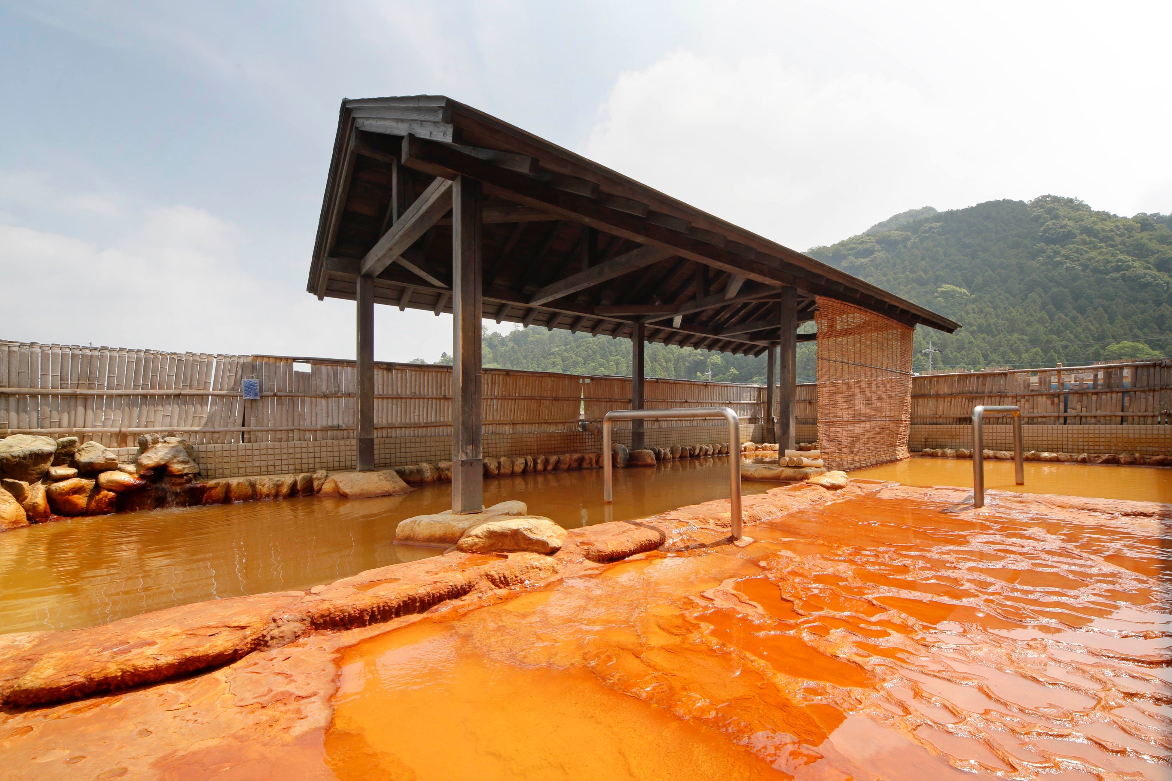 ゆず湯ページ 自宅風呂で「ゆず湯」を試してみた｜湯活レポート（入浴剤編