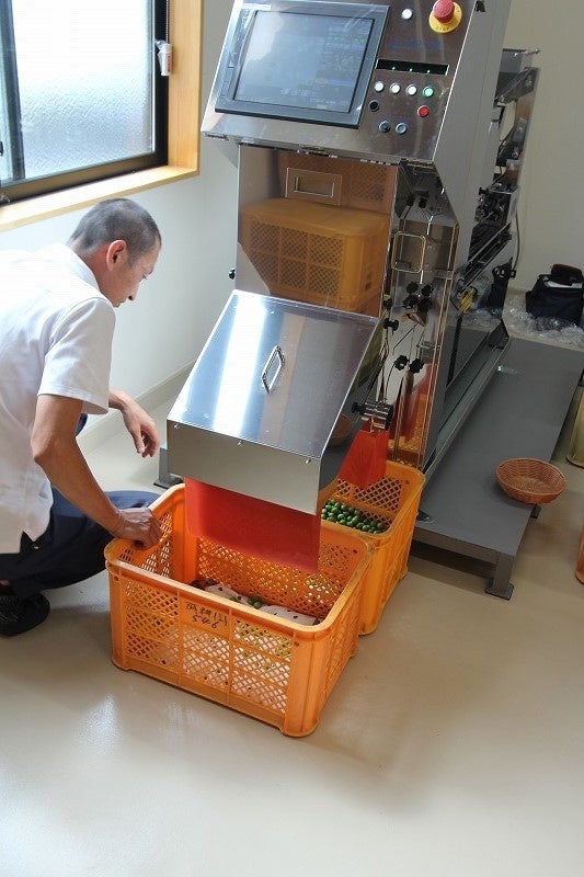 新農舎にはオリーブの選果機を導入。選別作業が約10倍速くなり、より鮮度が高い状態で果実を搾れるようになりました