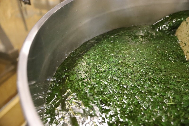 ▲バジルの生葉をオリーブオイルで炊き上げています。