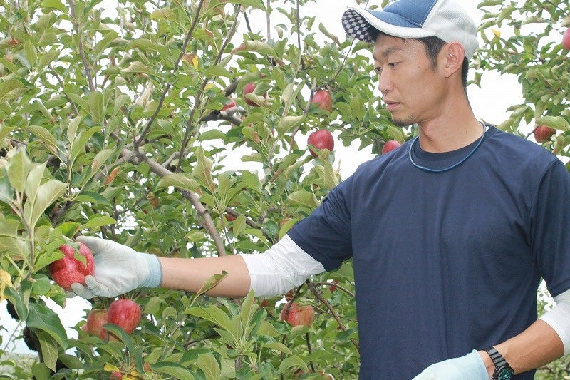 農家・秋元さん　狼森の山々で育てたりんごは一味違う風味が特長。初代園主が大変な苦労をして始めたりんご畑を今も大切に守っています。
