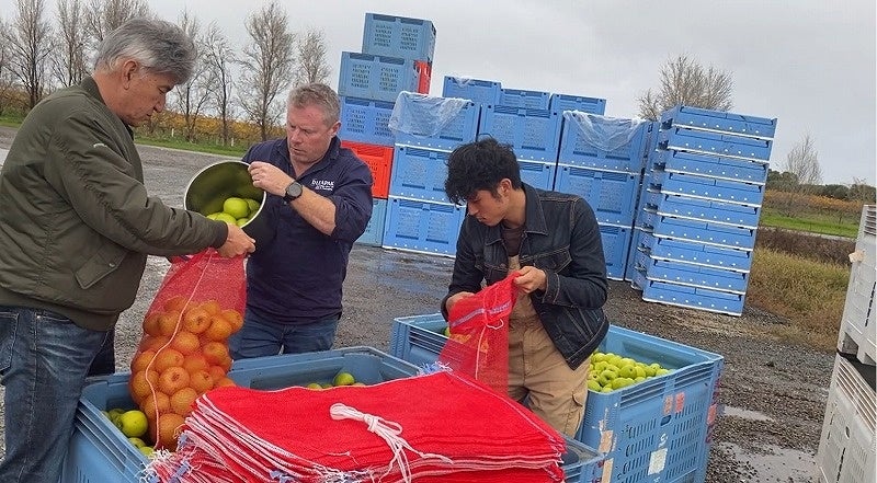 ▲オーストラリアで作る様子