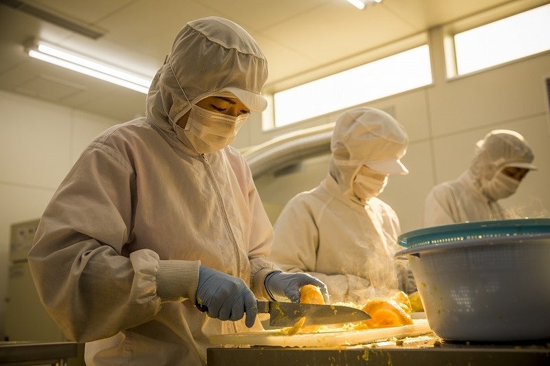 (写真・芥川仁)